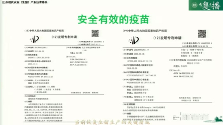 当前生猪生产恢复发展的关键措施