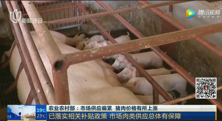 农业农村部：市场供应偏紧 猪肉价格有所上涨