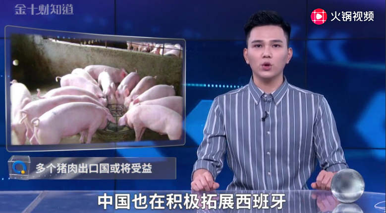 中国发出一则消息，多个猪肉出口国或将受益！澳加越却被拒之门外