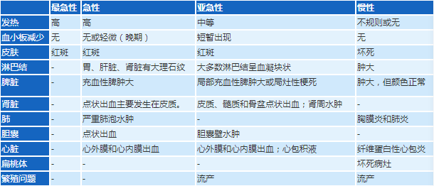 非洲猪瘟临床症状表现