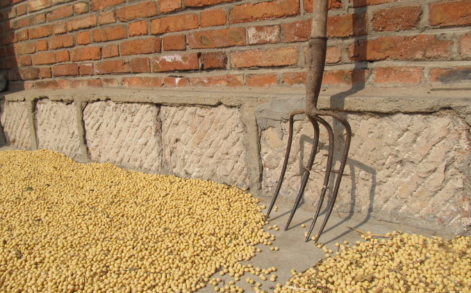 9月8日全国豆粕价格行情表，北京豆粕价格回升到中上游水平