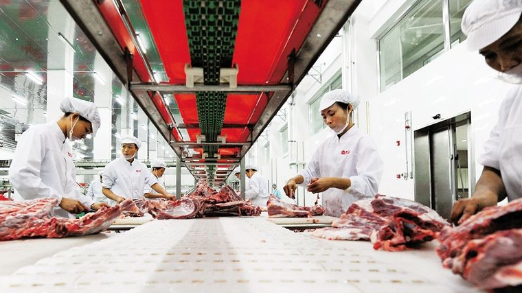 生猪生产恢复向好，复养积极性提高，多项政策保障肉类供应