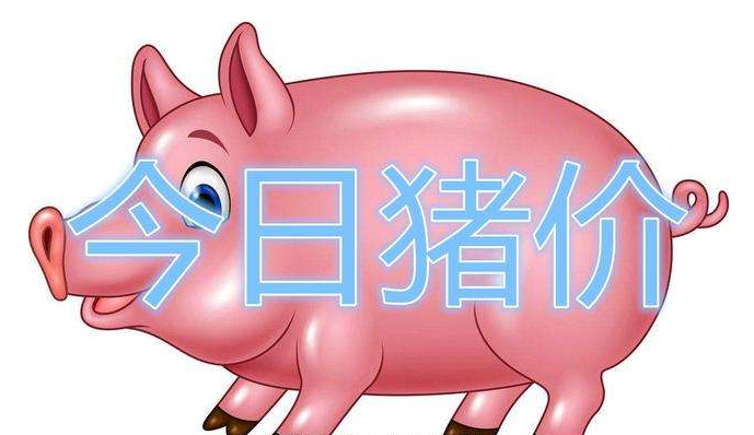9月12日全国生猪价格，逢节必跌？“环保禁养成”猪价上涨主因！