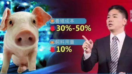 3万亿巨大市场，难怪马云、刘强东要抢着去养猪