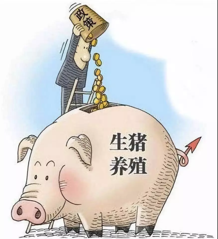 生猪养殖政策