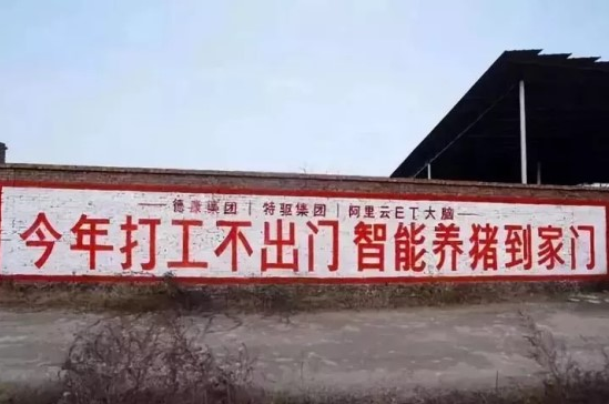 阿里AI养猪项目宣传标语