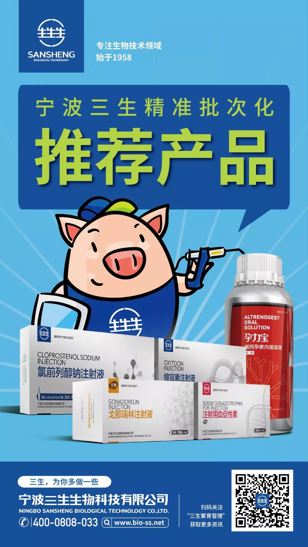 批次化管理对仔猪及保育猪存活的影响