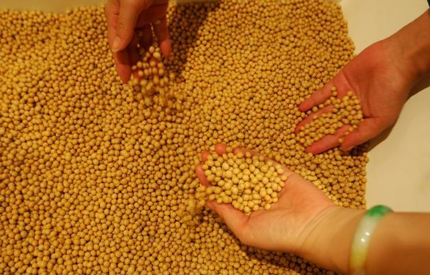 9月18日全国豆粕价格行情表，宁夏豆粕价格强势上涨