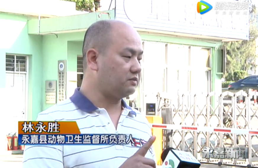 400余头省外生猪调运至永嘉！全力保障市场供应