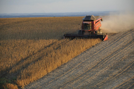 俄罗斯：2024年俄罗斯大豆产量将增加75%