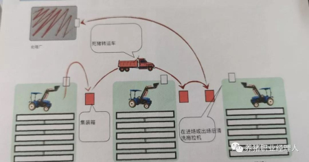 猪场内部叉车装进集装箱，然后由死猪转运车送至死猪处理厂