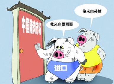 稳定市场供应，2019年前八个月猪肉进口量直逼去年全年进口总额