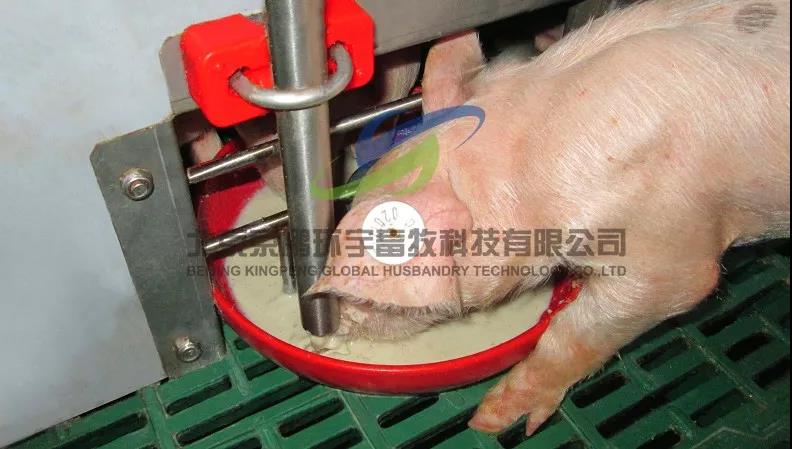 　　Babyfeed系统