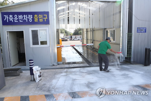 韩国非洲猪瘟疫情扩散，家畜移动禁令延长48小时