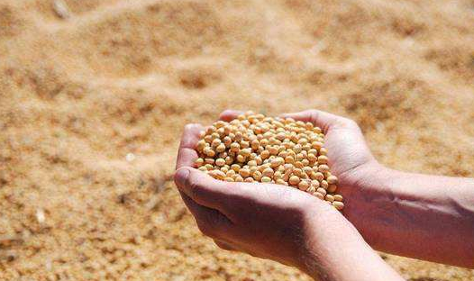 9月27日全国豆粕价格行情表，贵州豆粕价格日涨170元/吨，月同比下滑190元/吨