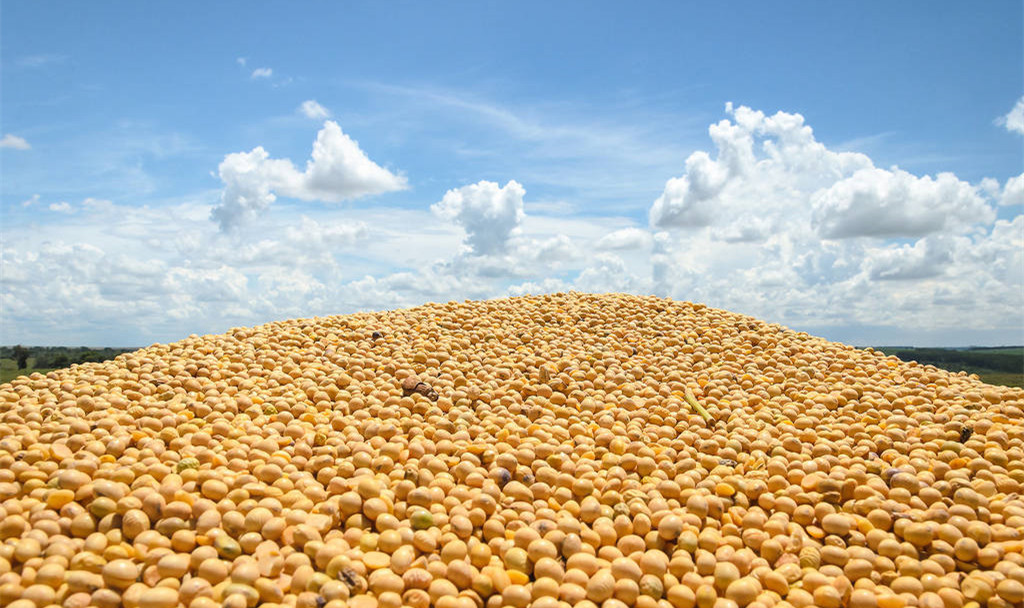 10月1日全国豆粕价格行情表，今日国内豆粕价格以稳为主！