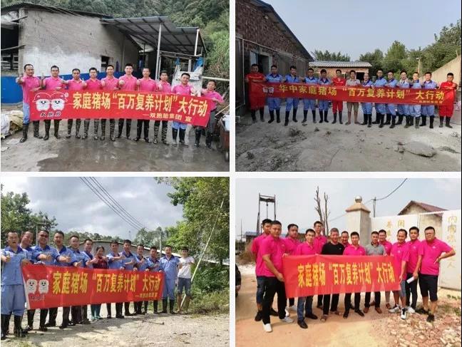 　双胞胎集团专业复养团队在行动