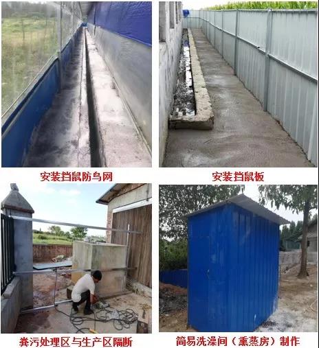 　双胞胎集团专业复养团队在行动