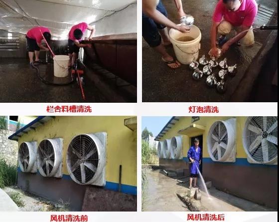 　双胞胎集团专业复养团队在行动