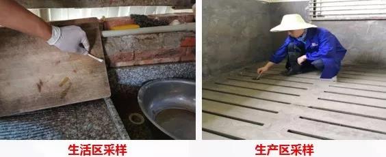 　双胞胎集团专业复养团队在行动
