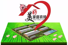 猪价火箭般上涨，你敢投入猪市吗？