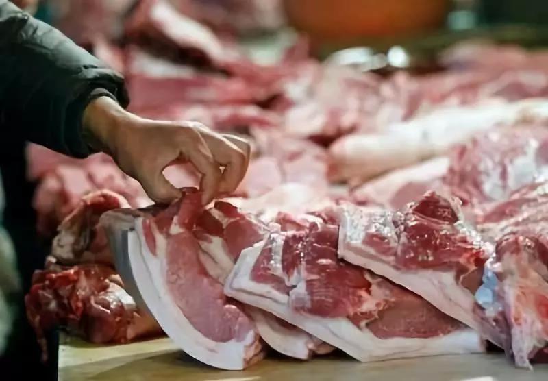 禁止非中南区的肉猪调入