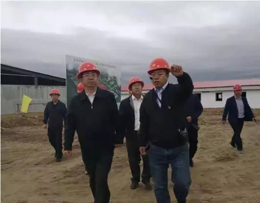 天镇伟嘉金猪工程60万头产业扶贫项目