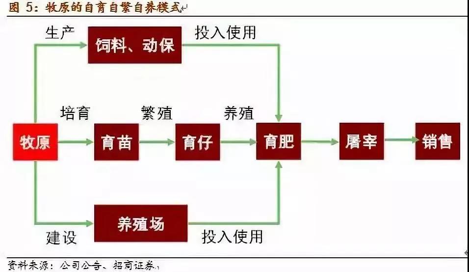 牧原股份