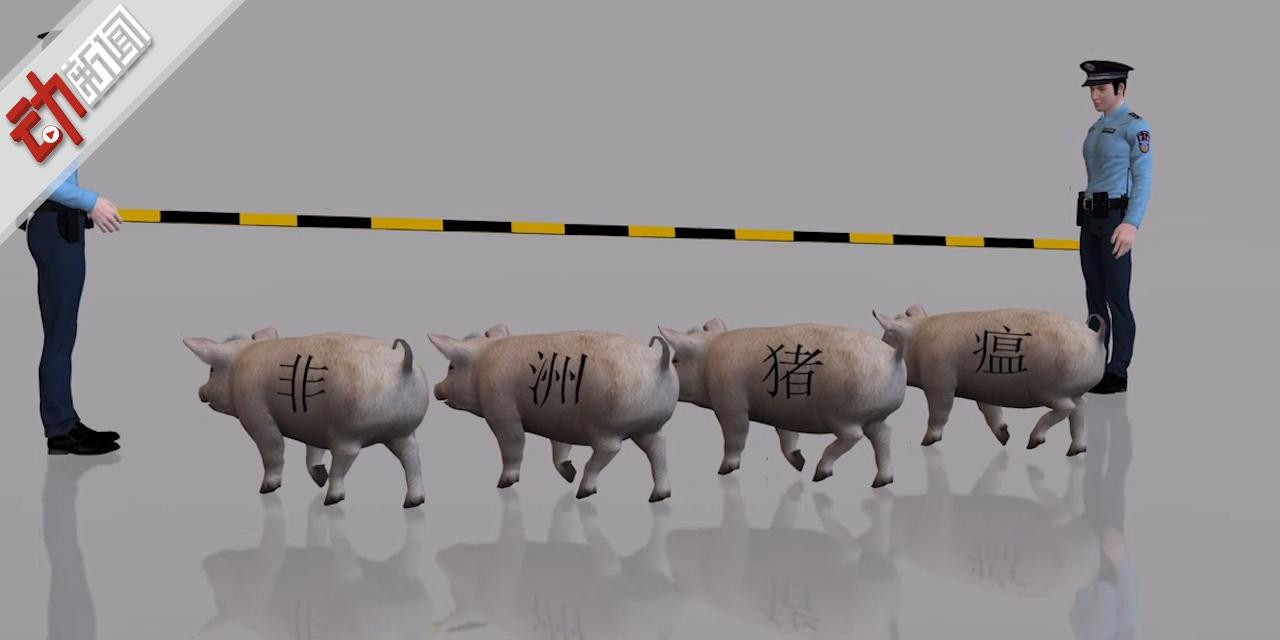 最新疫情报道 甘肃省岷县发生非洲猪瘟疫情