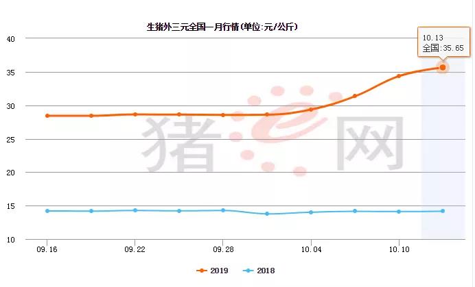 10月份全国生猪均价已破35元/公斤
