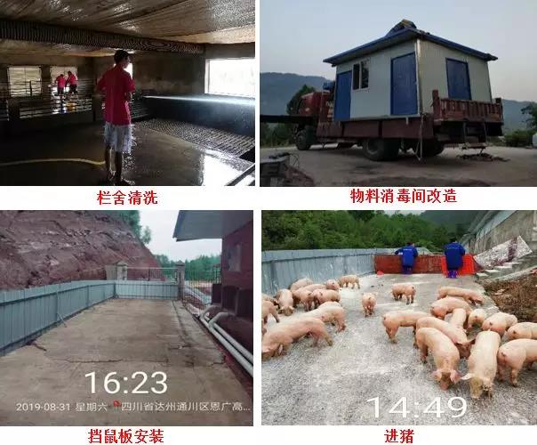 科学复养流程