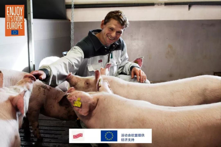 丹麦大学里的养猪专业