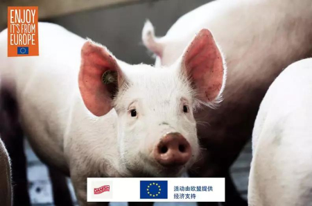 丹麦大学里的养猪专业
