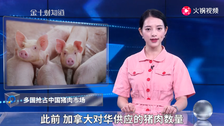 2090万！丹麦拿下中国猪肉大单，德国来华设厂，加拿大错失良机 