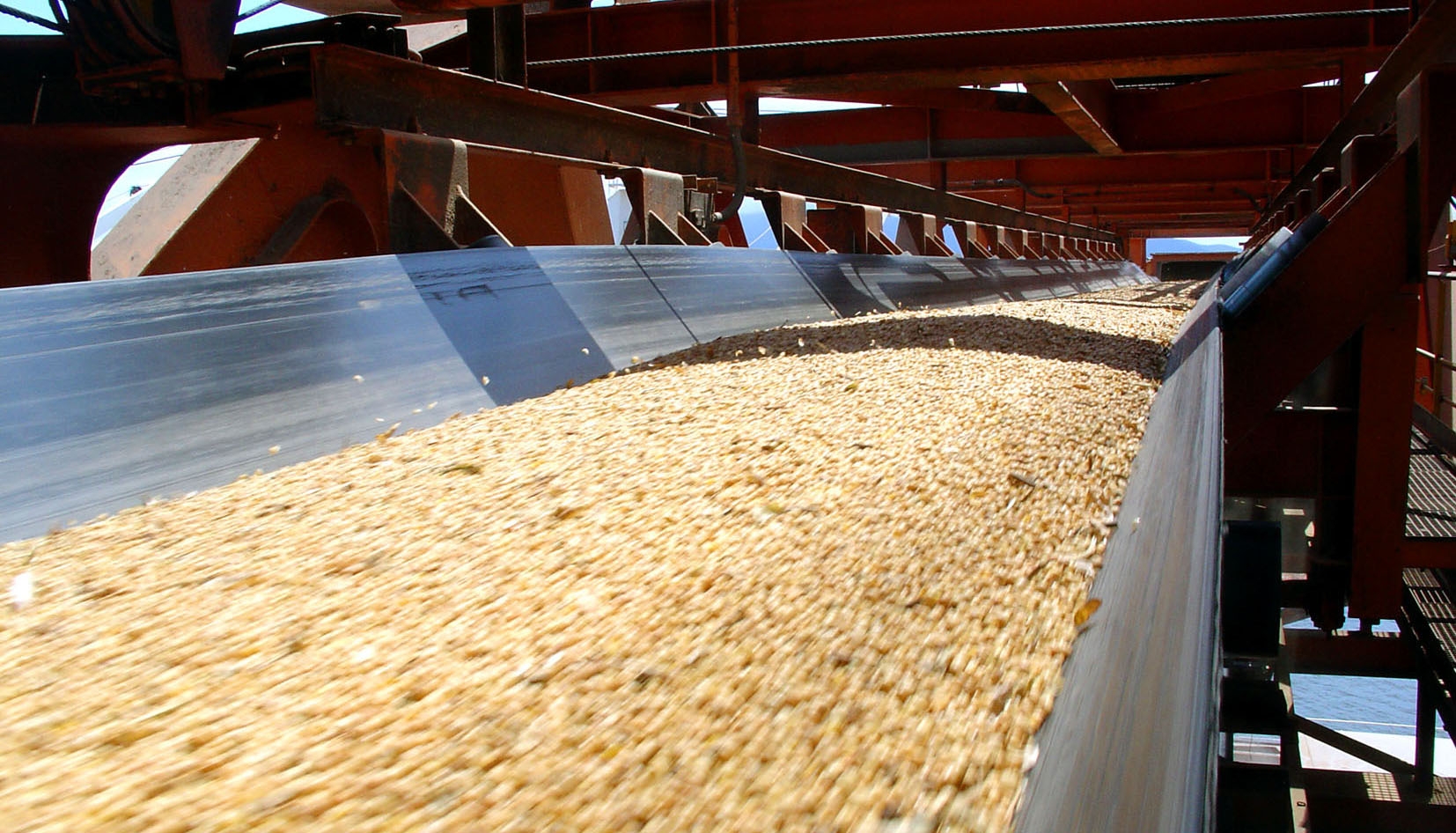 10月16日全国豆粕价格行情表，浙江豆粕价格跌破3000元每吨