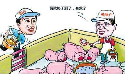 用400头生猪贷款500万元 广东发放首笔生猪活体抵押贷款