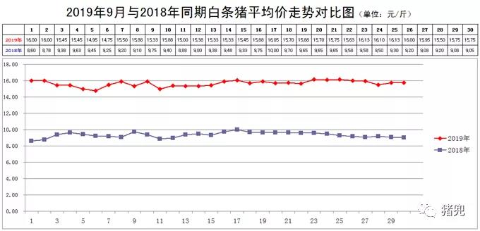 同期白条猪价