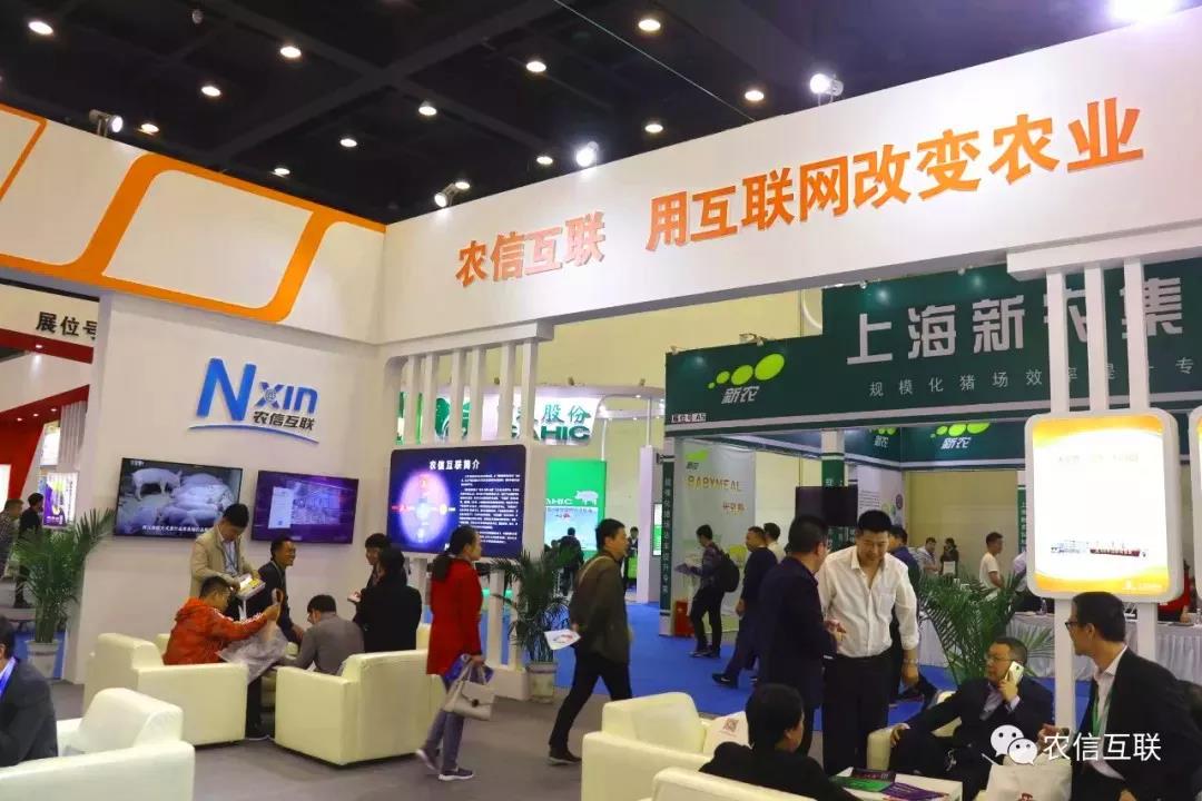 往期精彩