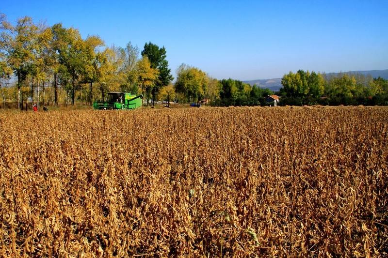 10月18日全国豆粕价格行情表，宁夏及江西豆粕价格突然出现下跌