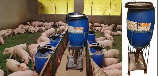 　猪场使用的手工制造的喂料器