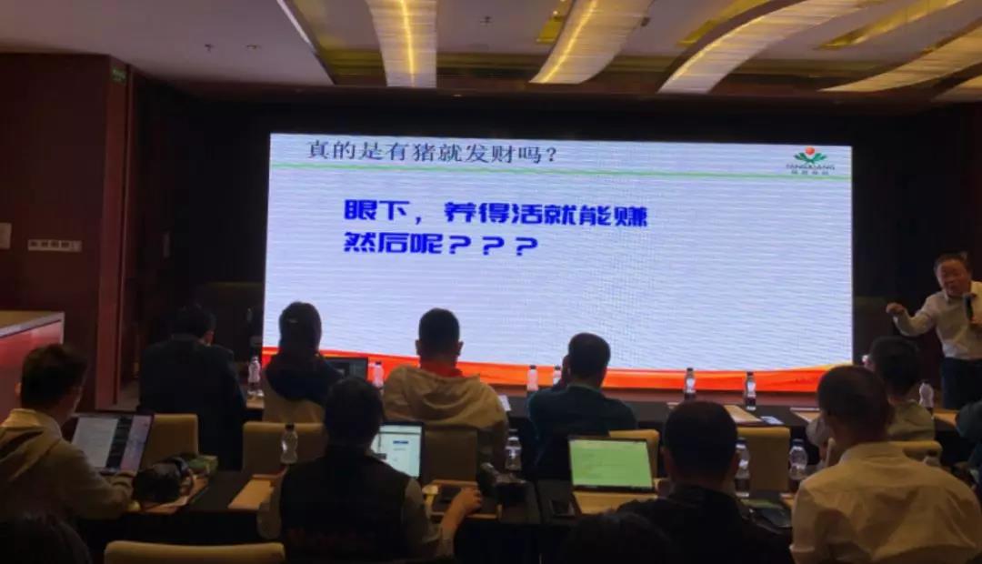 真的是有猪就发财吗