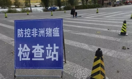 广西岑溪市发生非洲猪瘟疫情屠宰厂解除封锁！