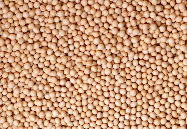 10月27日全国豆粕价格行情表，贵州豆粕价格日涨幅166元每吨