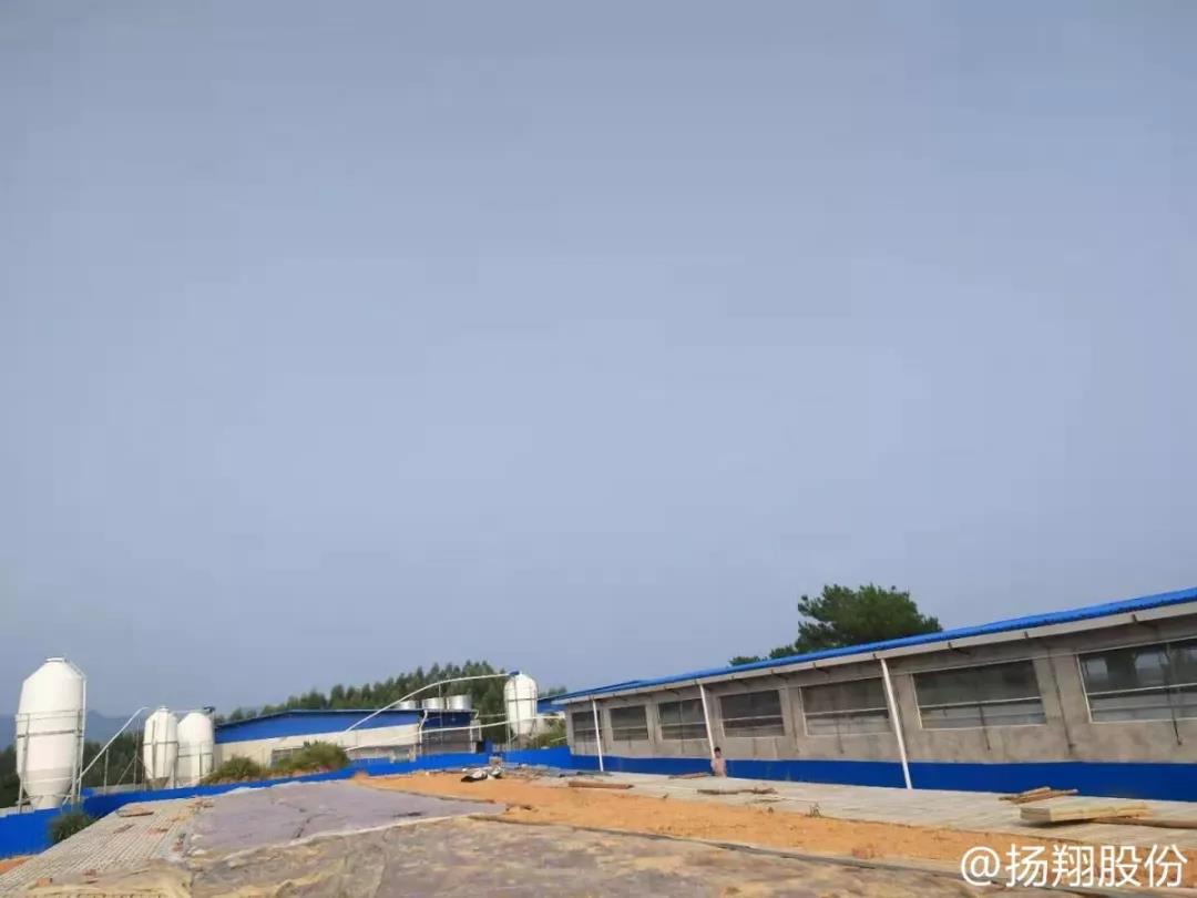 广西梧州铁桶猪场