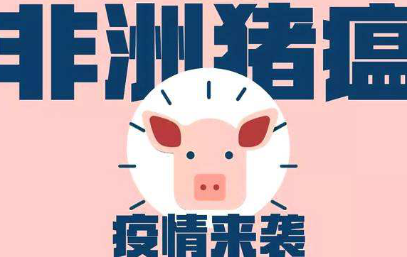 新疫情！重庆垫江县在截获的外省违规运入仔猪中查出非洲猪瘟疫情