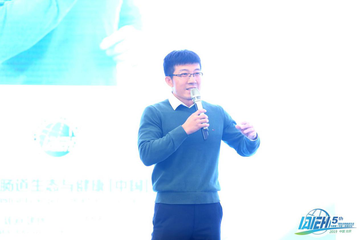 陈鹏博士