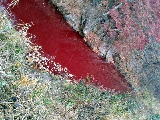 江水被血染成红色