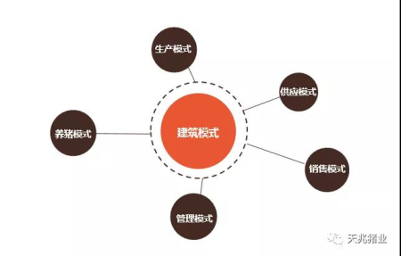 天兆猪业