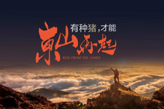 鼠疫VS非洲猪瘟，到底哪个更可怕？