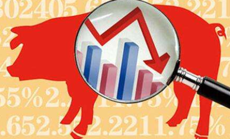 11月15日全国生猪价格，环比下跌3.4%，猪肉价格将会逐步企稳？